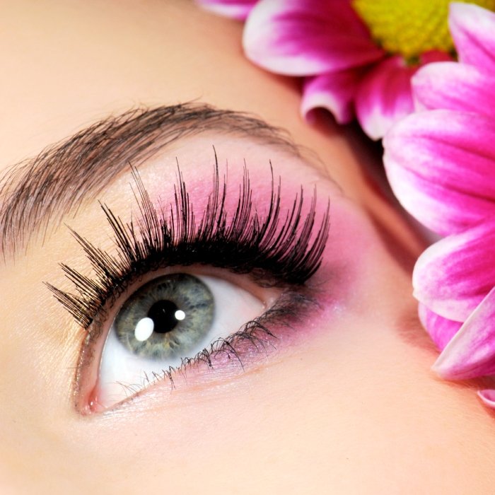 Glossnglass Lash Courses